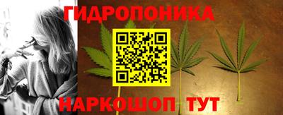 apvp Шахты