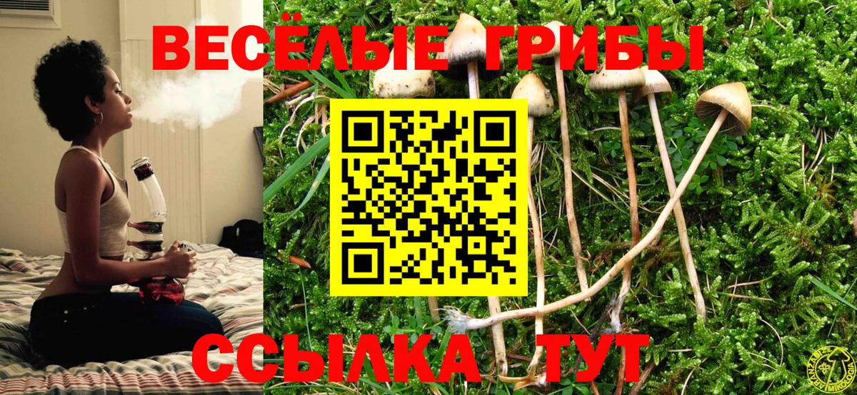 Галлюциногенные грибы Cubensis Кандалакша