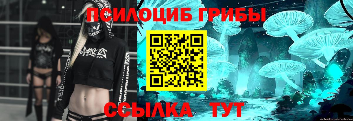 Псилоцибиновые грибы Psilocybine cubensis  Вход с VPN  Кандалакша  Галлюциногенные грибы мицелий 